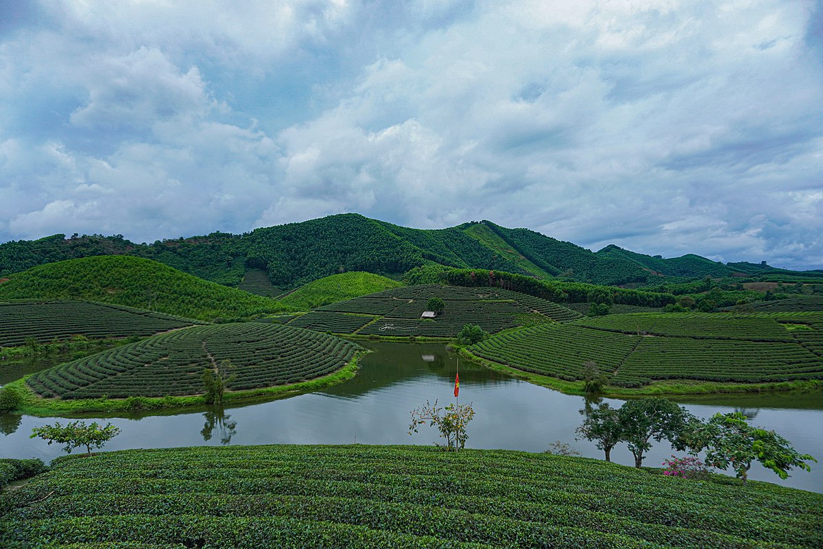 Sites incontournable lors d'un voyage à Thanh Chuong