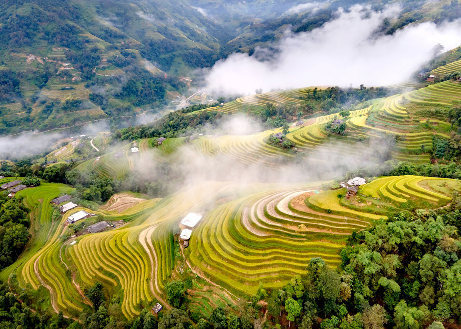Circuit photo au Vietnam - riziere de Mu Cang Chai