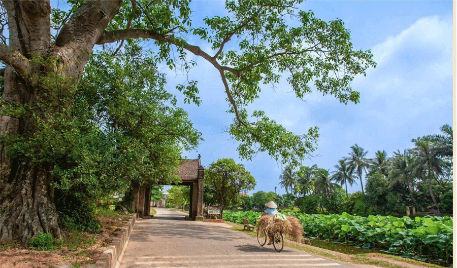 un coin de l'ancien village de Duong Lam - un des anciens villages à Hanoi
