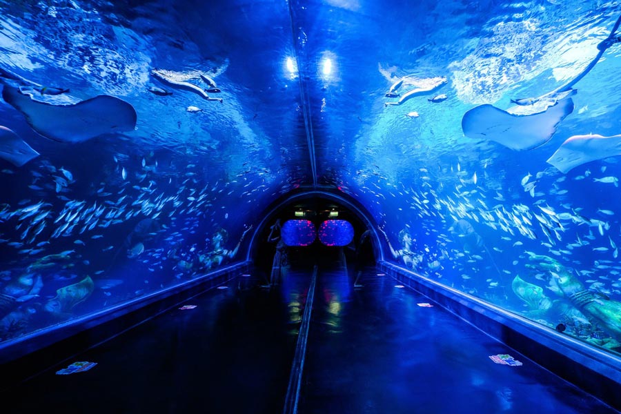 Aquaria Phuket est le plus grand aquarium en Thaïlande