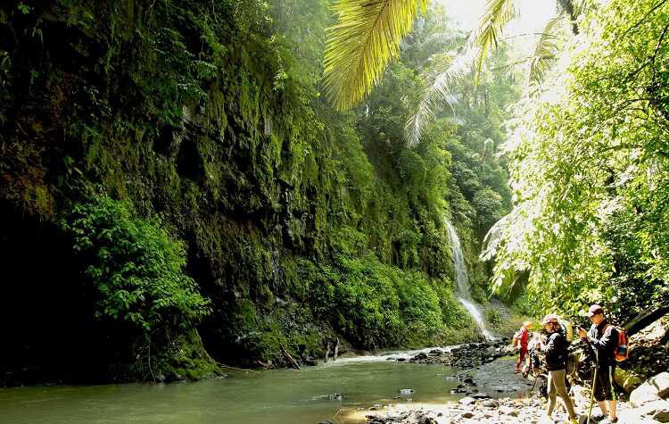 Randonnée dans la forêt tropicale à Binh Phuoc