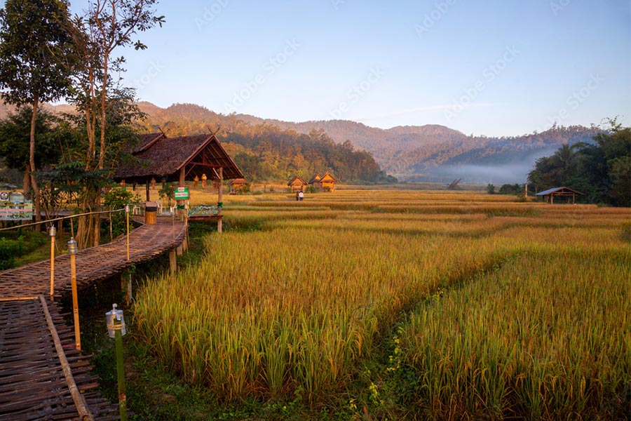 Pont de bambou Boon Kho Ku So est l'une des attractions emblématiques de Pai, à Mae Hong Son