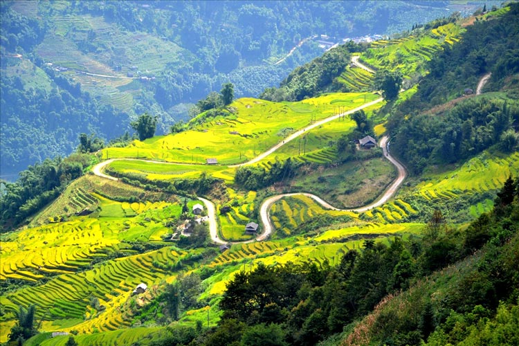 Plus haut village du Vietnam