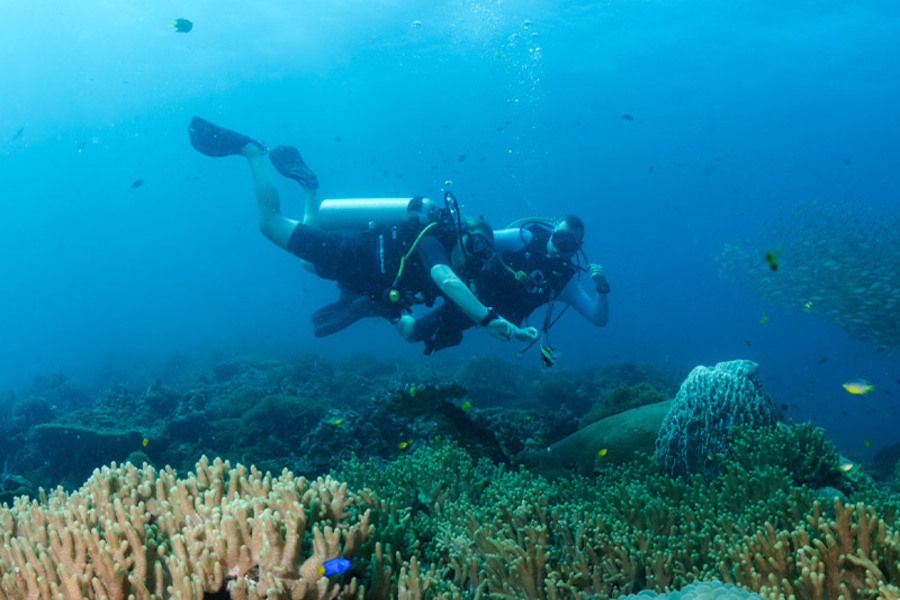 Plongée sous-marine d’Ao Nang avec coraux et poissons tropicaux