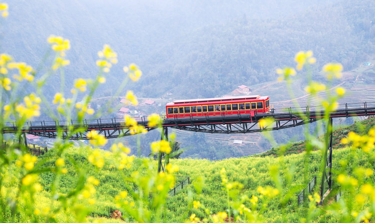 Le train d'escalade de Muong Hoa est aussi beau que dans un conte de fées