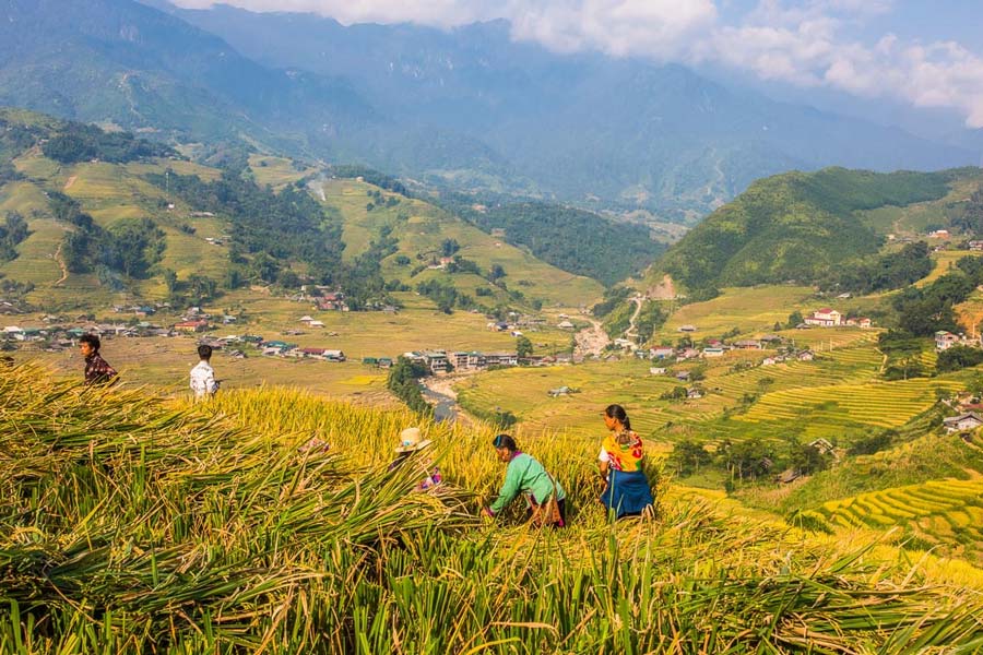 Guide de voyage au nord du Vietnam en mai