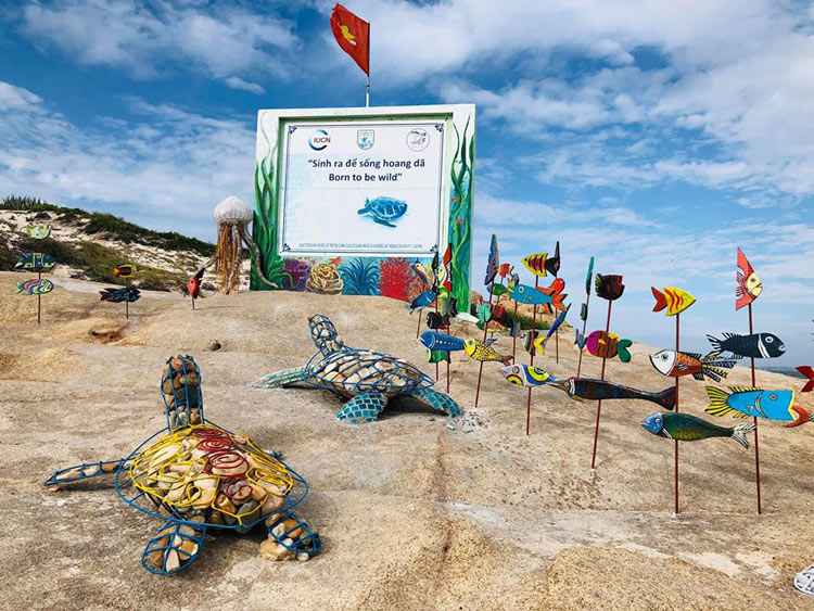Visite de la zone de protection des tortues marines sur l'île