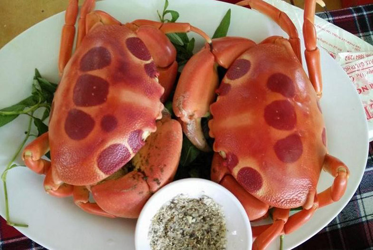 Crabe lunaire - Les fruits de mer précieux sont recherchés