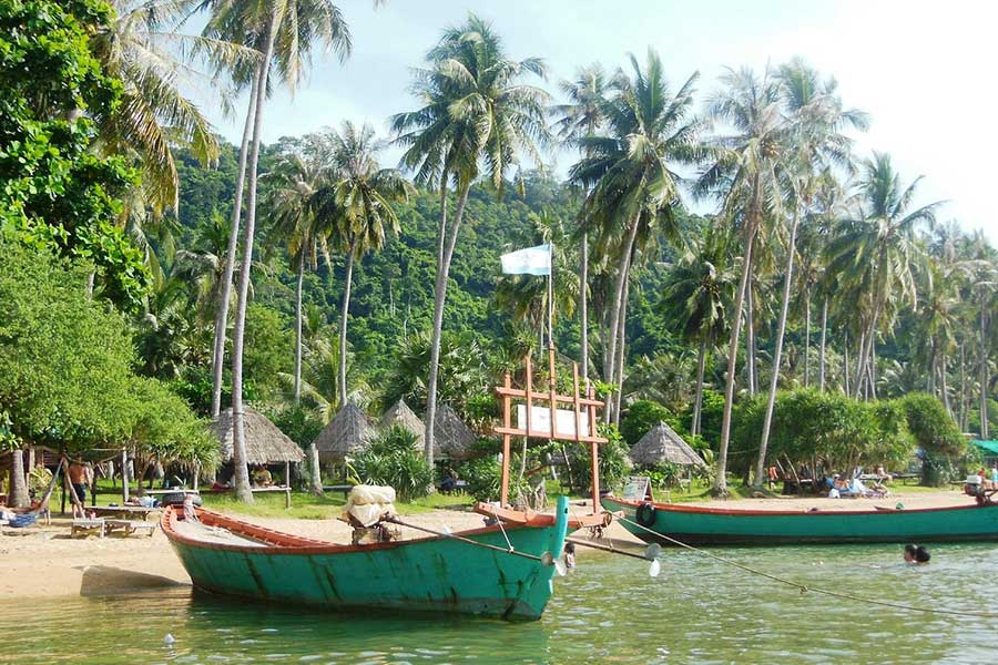 Beauté sauvage de l'île aux lapins