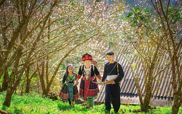 Printemps sur la steppe verte à Lai Chau