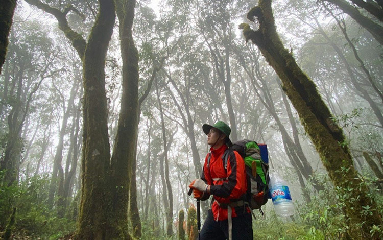 Explorez les plus magnifiques sommets des montagnes de Lai Chau