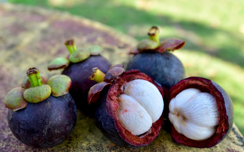 Les célèbres fruit qu’on retrouve au Cambodge