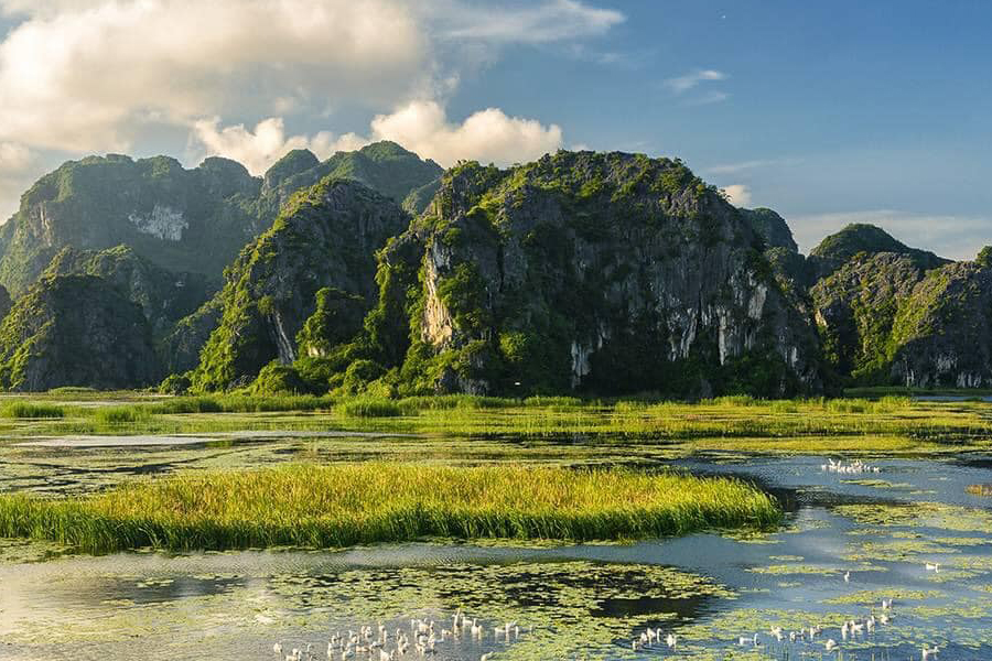 La réserve naturelle de Van Long est une destination incontournable à Ninh Binh