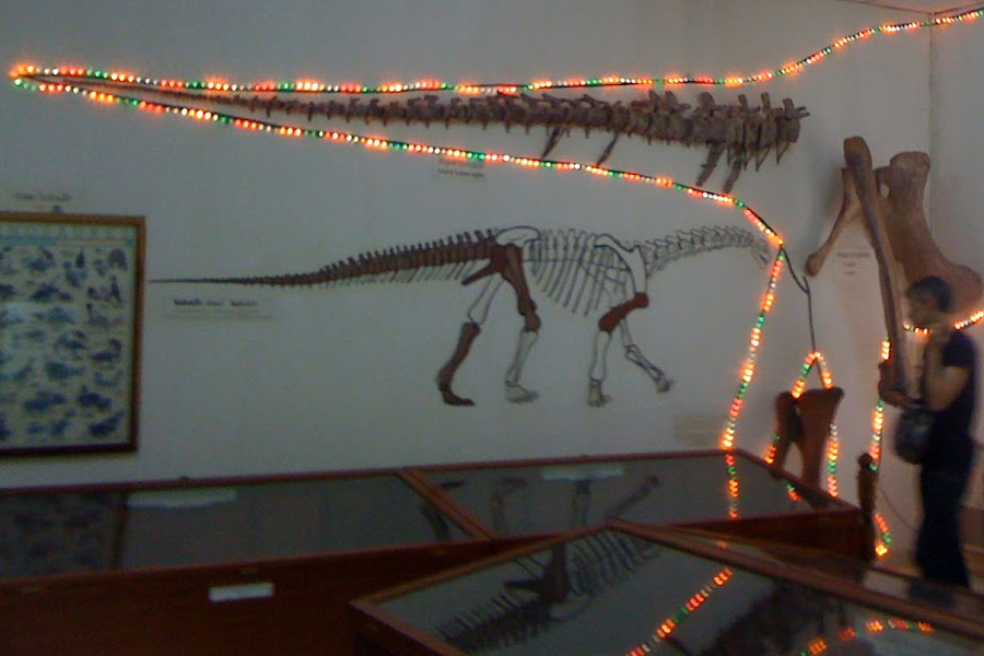 Au musée des dinosaures de Savannakhet