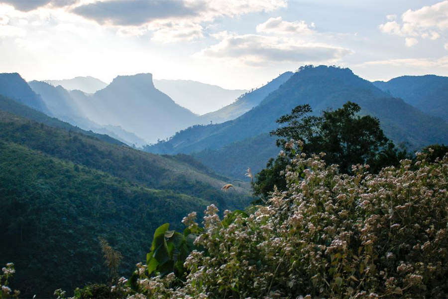 Nam Et-Phou Louey au Laos est le plus grand parc national de l'Indochine