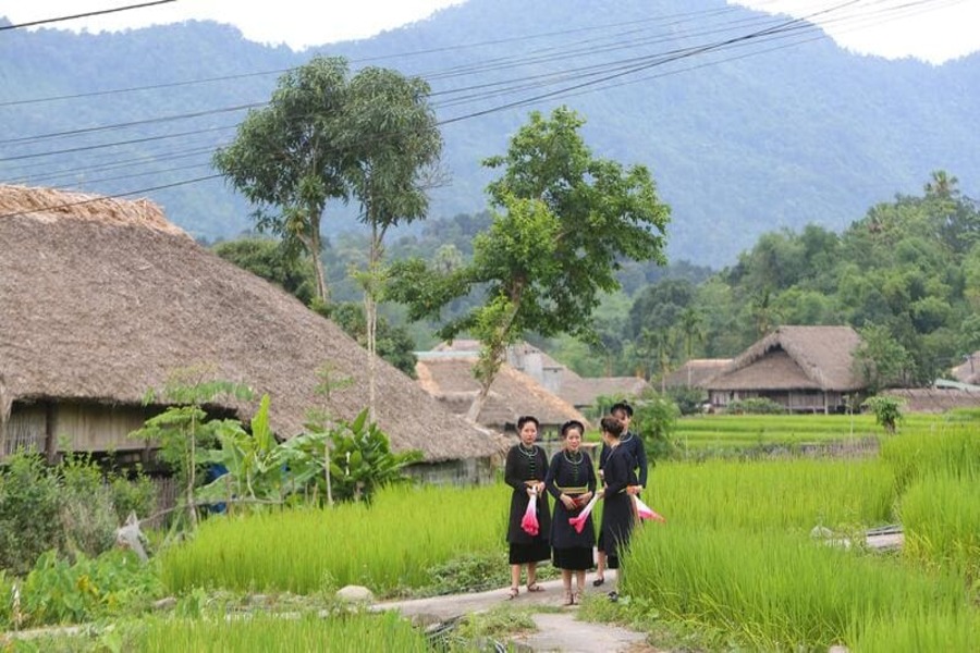 Aux alentours de Nghieu Son Linh, il y a beaucoup des villages Tay et Nung 