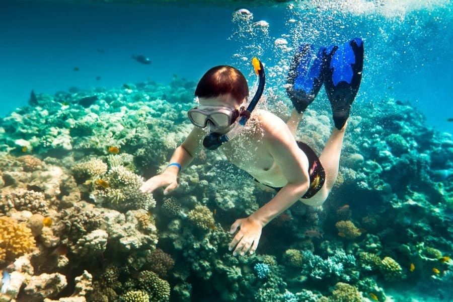 Snorkeling aventureux dans les eaux cristallines de la baie de Nha Trang