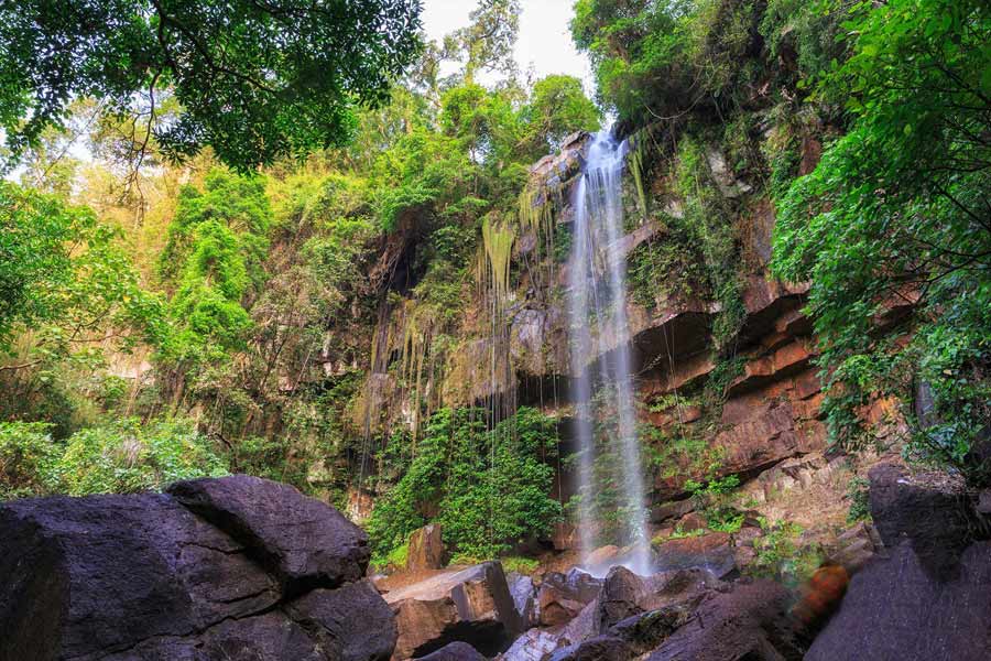 Découverte du parc national de Kirirom 