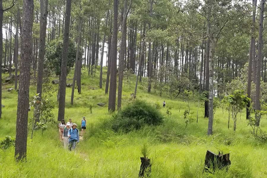Randonnée dans le parc national de Kirirom