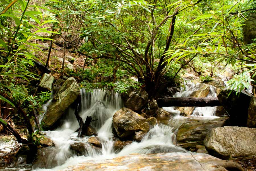 Parc national de Lan Sang