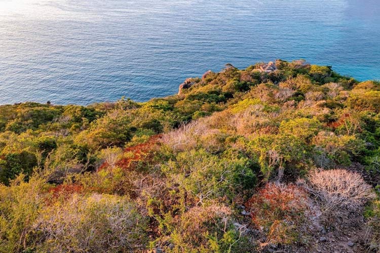 Plages immaculées dans la zone touristique de Nui Chua