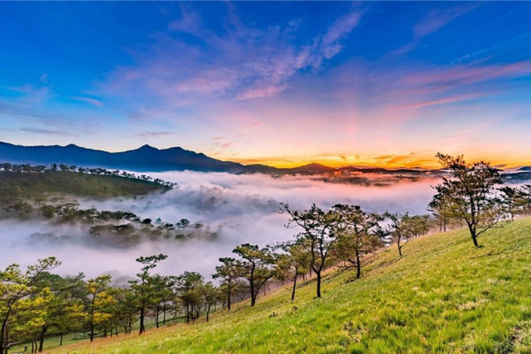 La beauté poétique du plateau de Lam Vien