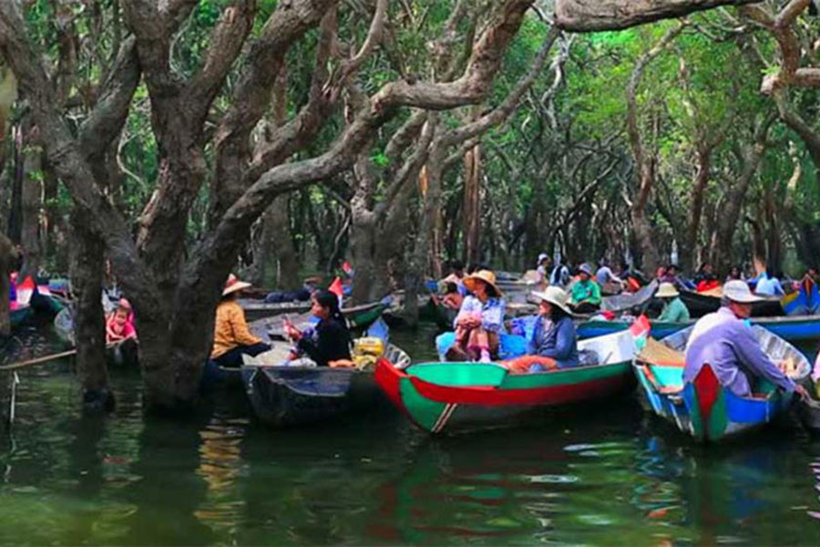 Visitez la forêt de mangrove de Prek Toal