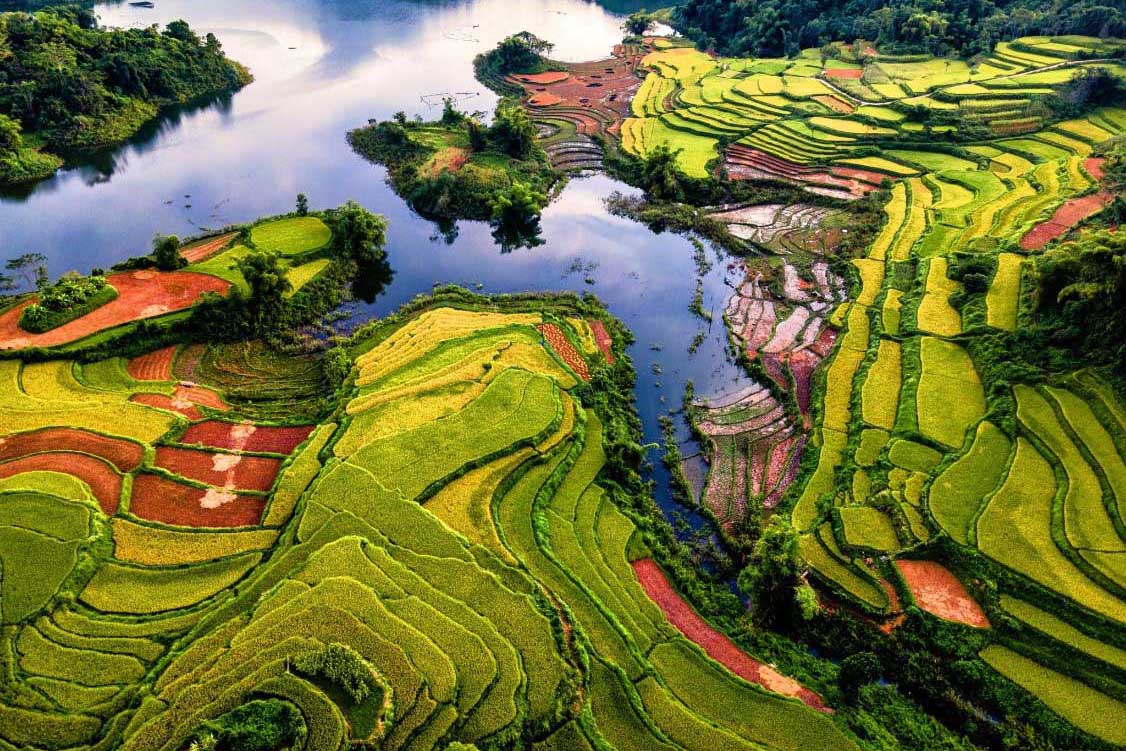 Les rizières en terrasses de Hong Thai à Tuyen Quang