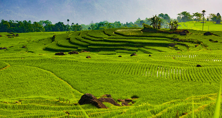 Paysage magnifique de Pu Luong