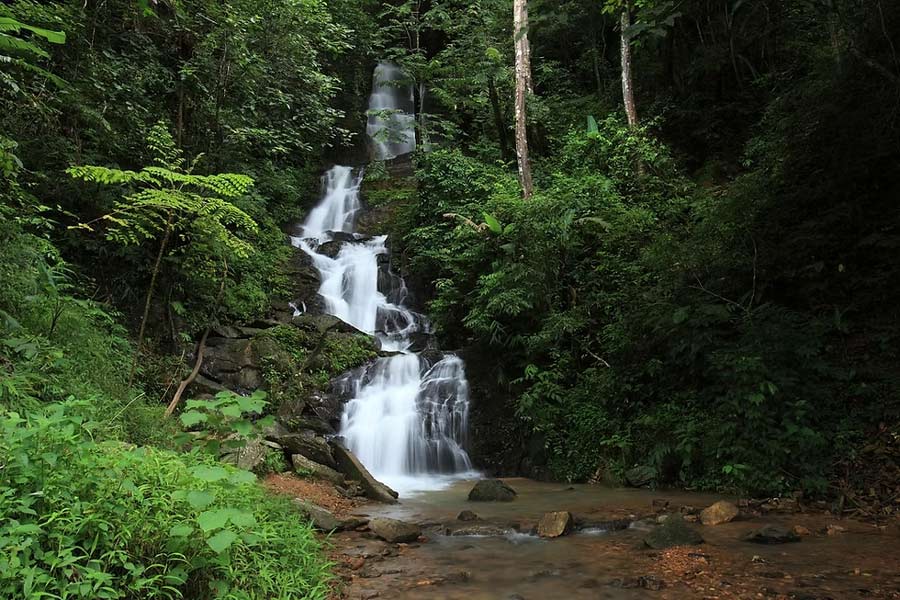 Randonnée au parc national Khao Sok avec enfants