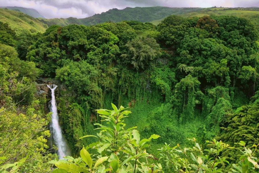 La province de Ratanakiri est l’une des régions les plus sauvages du Cambodge