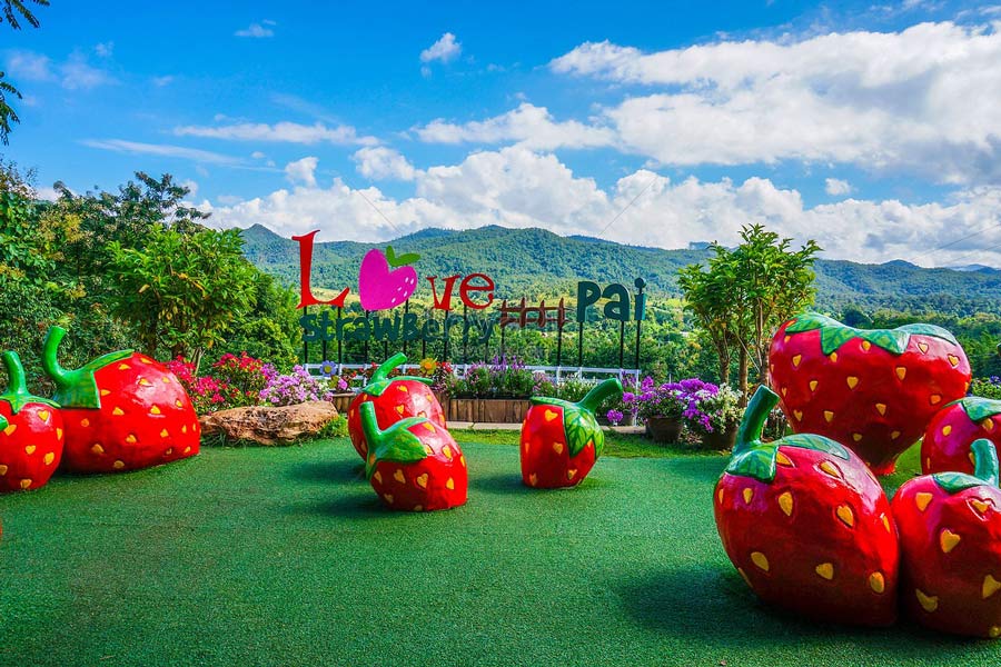 Sai Ngam Hot Spring - Love Strawberry Pai