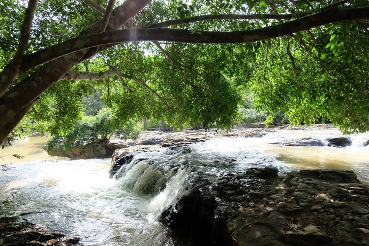 Le parc national de Sai Thong est un paradis pour les amoureux de la nature