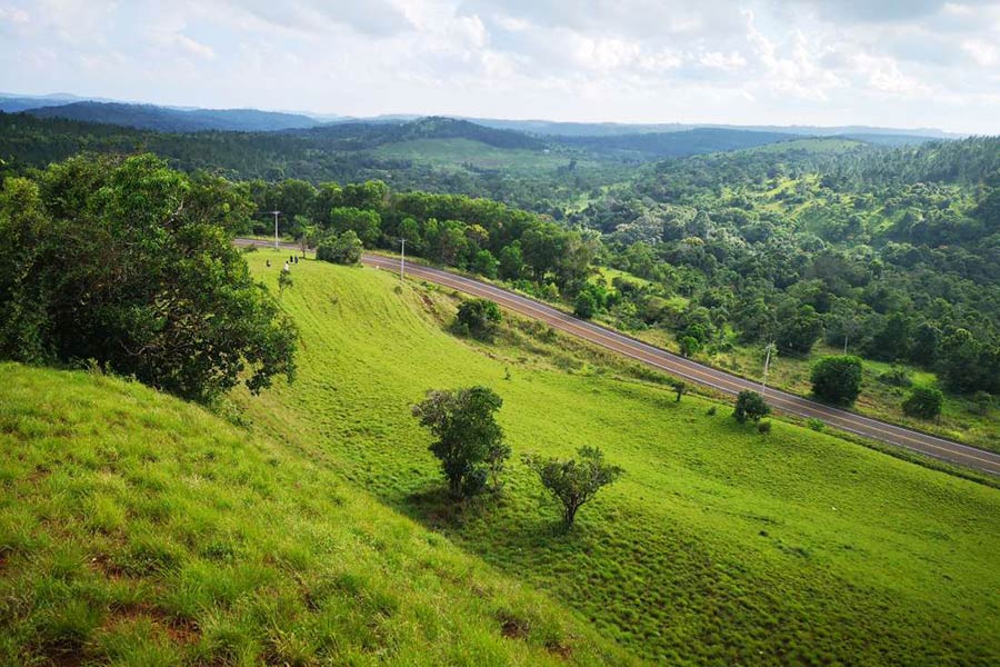 Sea Forest de Mondulkiri