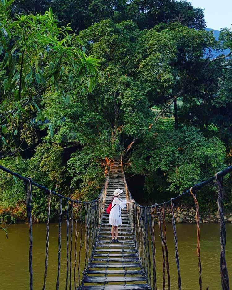 Célèbre pont en rotin à Ta Van