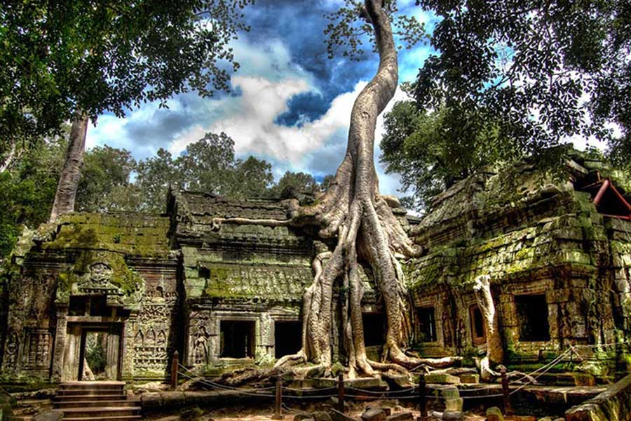 Beauté du mystère du temple Ta Prohm