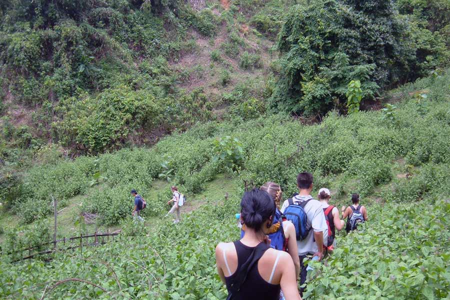 Le trekking est une des choses incontournables à faire à Chiang Rai