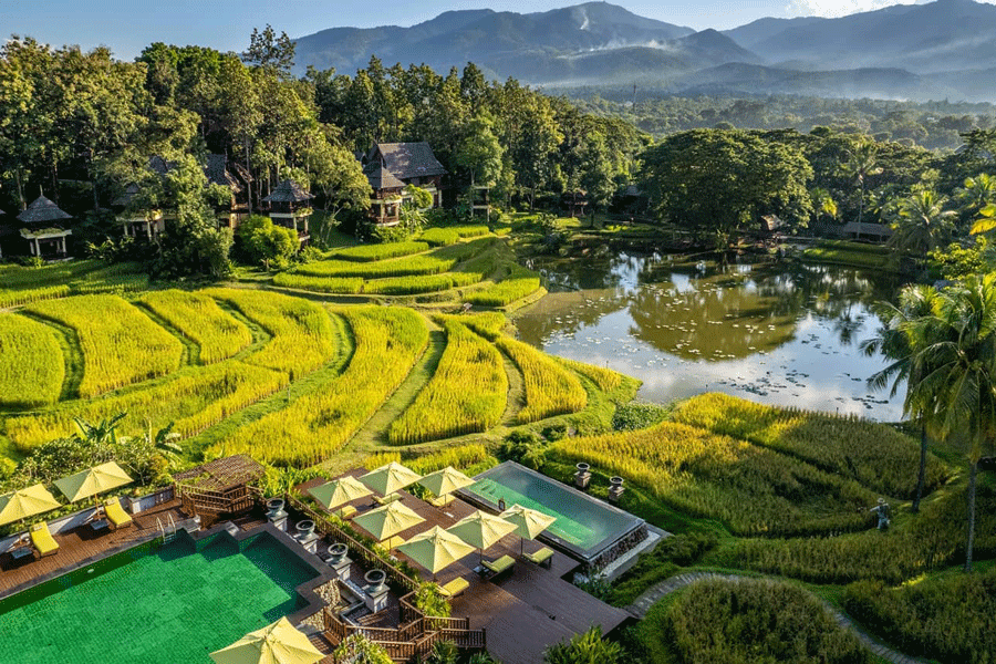 Que faire au nord Thaïlande - Chiang Mai