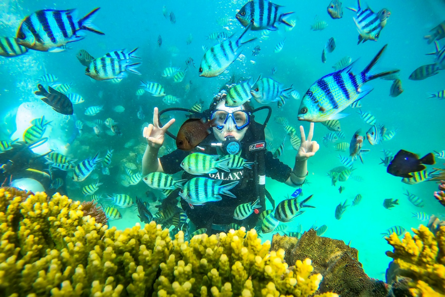 L'activité intéressante lors d'un voyage à Phu Quoc