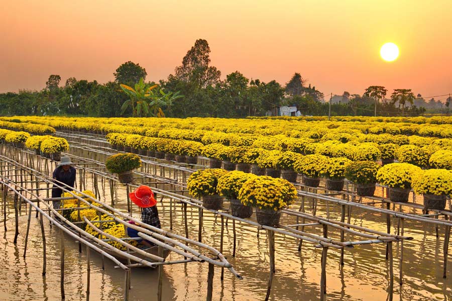 Voyager au Sud du Vietnam en mai - Tout ce que vous devez savoir