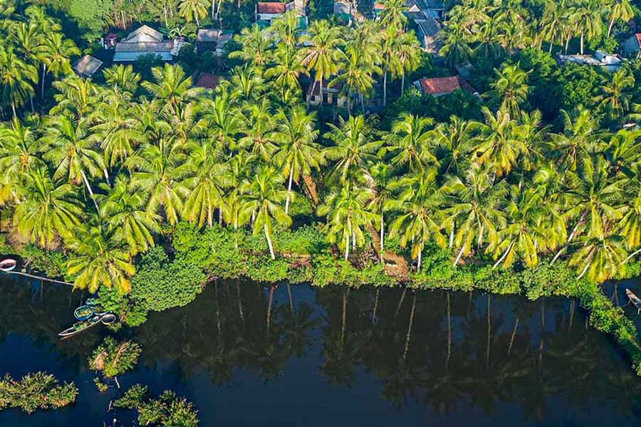 Voyager au Sud du Vietnam en mai - Tout ce que vous devez savoir