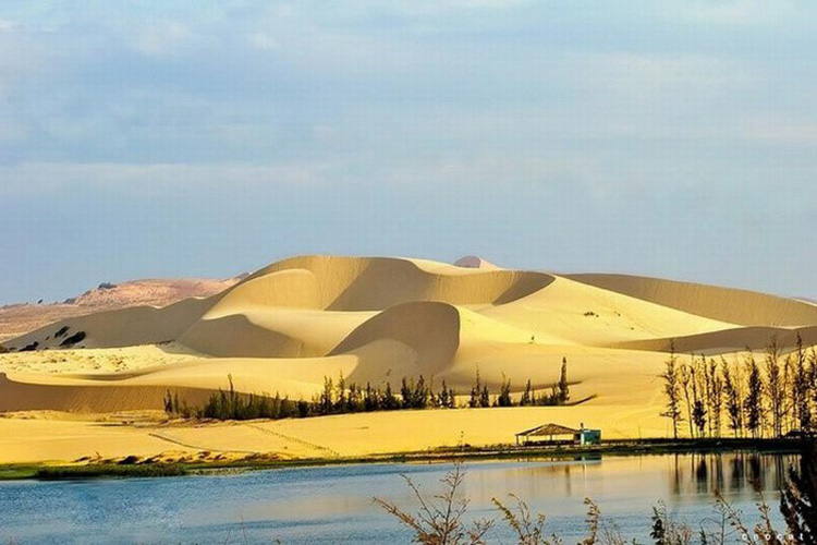 « Mini-désert du Sahara » à Binh Thuan