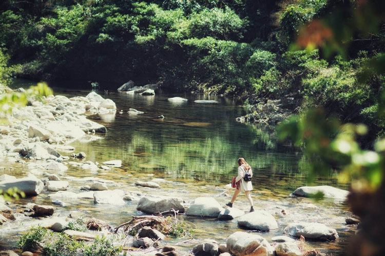 La nature sauvage à A Luoi 