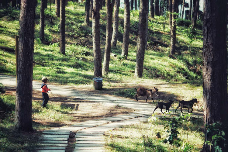 Le village de A Hua à A Luoi