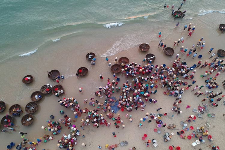 Les activités de la pêche de Cua Viet