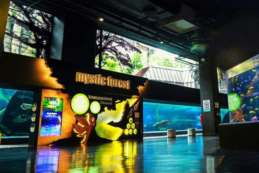 Mystic Forest à Aquaria Phuket sera témoin de créatures d'eau douce préservées