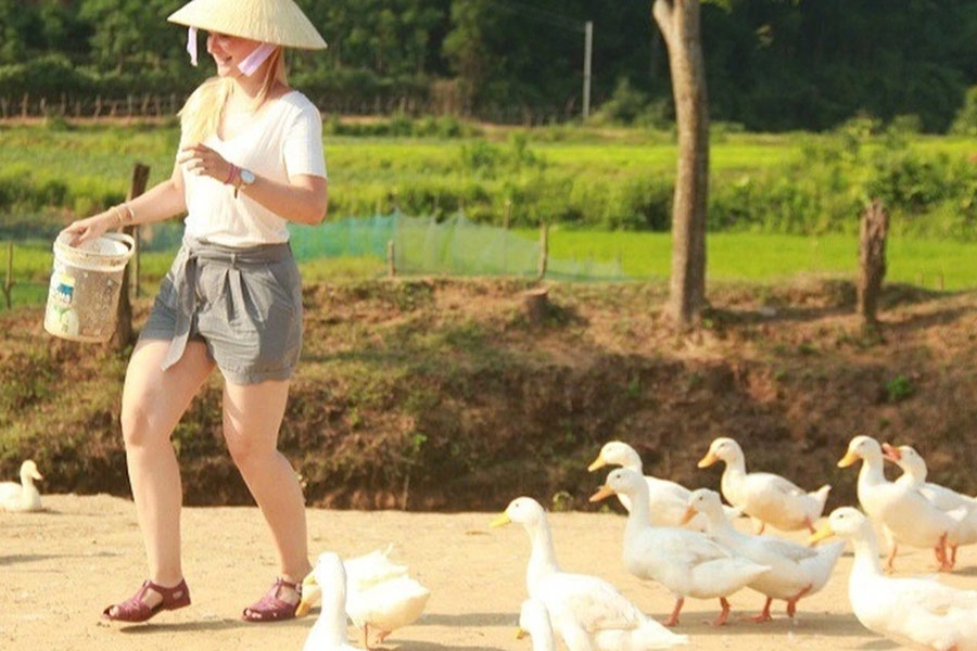 L'aventure d'une touriste auprès des canards à Quang Binh pour 4 $ : Est-ce cher ?