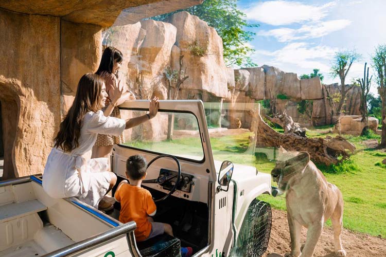 Spectacles animaliers au Bali Zoo