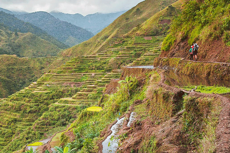 Randonnée à Banaue