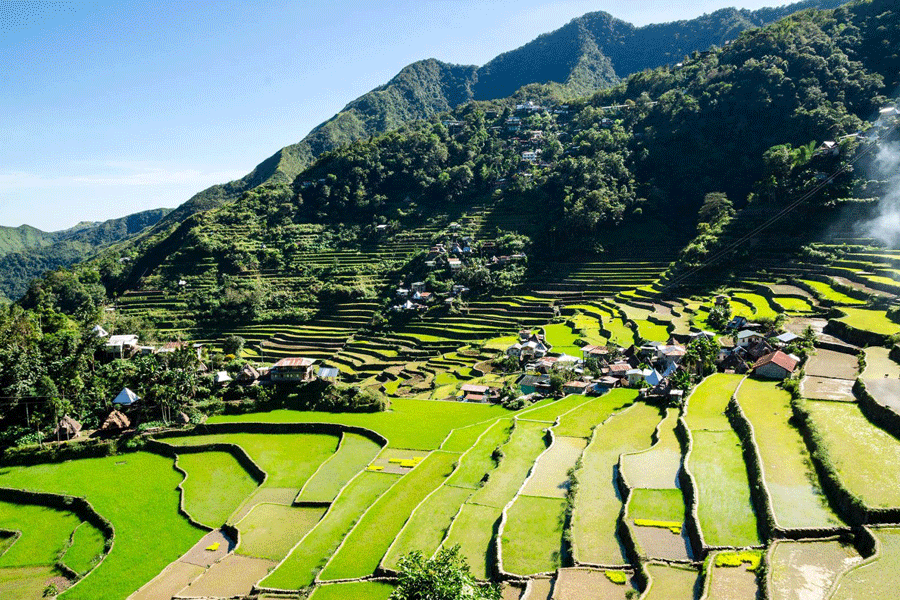 Banaue